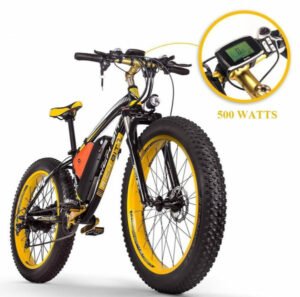 Fat Bike électrique Rich Bit